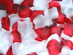 1000 Rosenblätter Mix Weiss Rot-Bordeaux #1, 14
