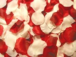 1000 Rosenblätter Mix Rot-Bordeaux Creme #1, 15