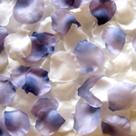 1000 Rosenblätter Mix Weiss Blau Flieder #10, 14