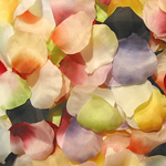 # 1000 Rosenblätter Mix Potpourri bunt ca. 20 Farben