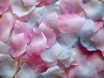 # 1000 Rosenblätter Mix Rosa Hell-Blau Pastell #22, 34