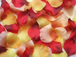 1000 Rosenblätter Herbstlaub-Mix #1, 8, 19